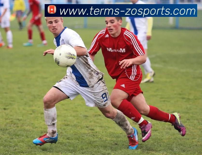 中欧体育服务体系